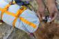 Preview: Ruffwear BACKTRAK HUNDE-EVAKUIERUNGSSET Gr.S Preview: Ruffwear BACKTRAK HUNDE-EVAKUIERUNGSSET Gr.S